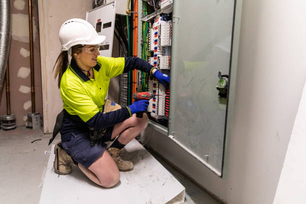 Best Electrical System Inspection  in Shenandoah, VA