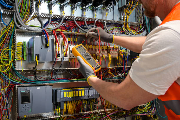 Best Electric Panel Repair  in Shenandoah, VA